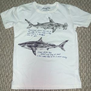 Boys Crew Cuts Shark T-Shirt